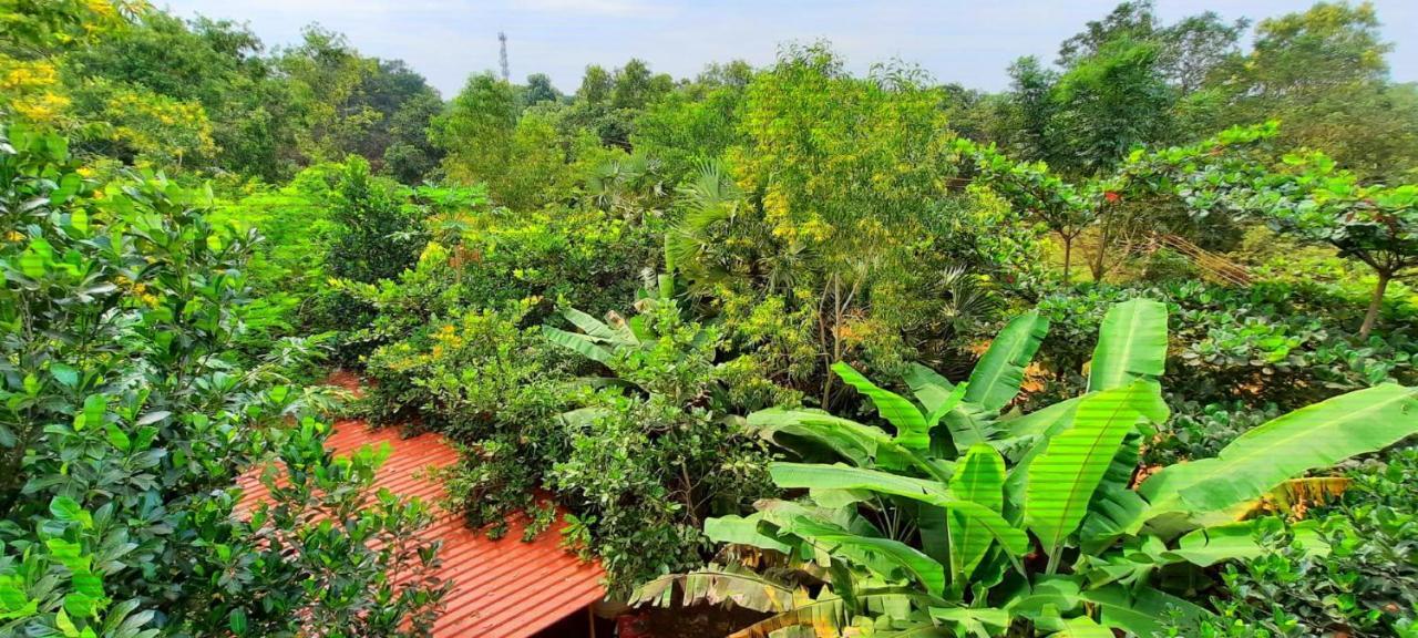 Unearth Hostel Auroville Dış mekan fotoğraf