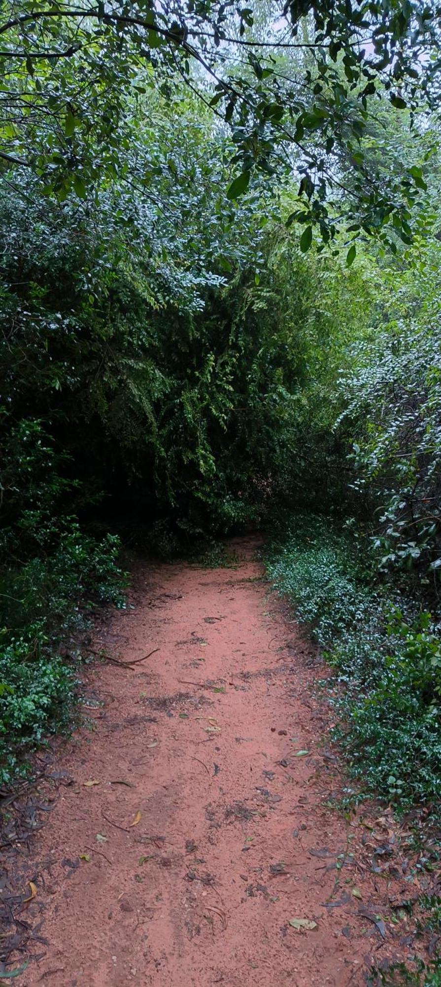Unearth Hostel Auroville Dış mekan fotoğraf